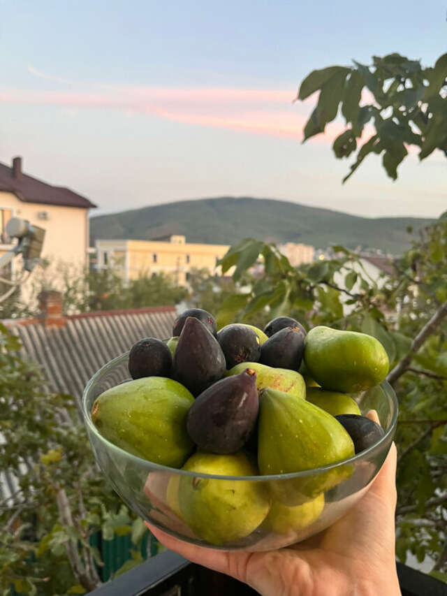 Гостиница Лагуна Кабардинка-57